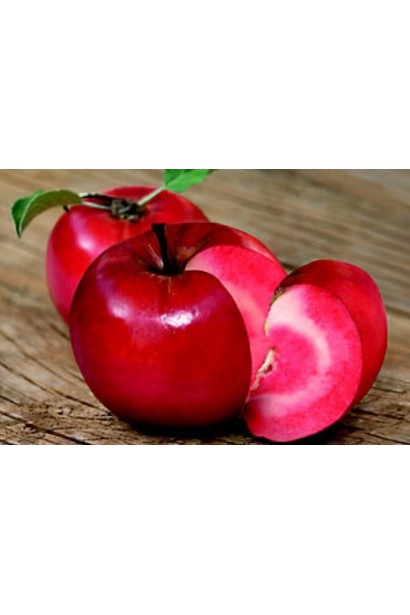 Яблуня Редлав Одіссо з червоним м’якушем плодів.